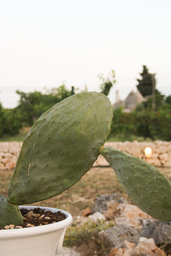 Enjoytrulli - Countryside Vila Noci Exterior foto