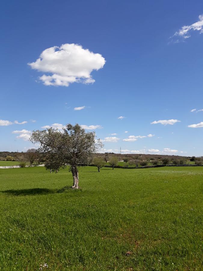 Enjoytrulli - Countryside Vila Noci Exterior foto